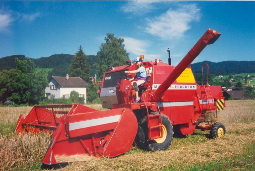 MF Drescher 17
